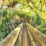 Myakka River State Park