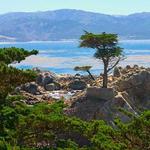 17 Mile Drive