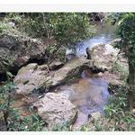 Zimbali hiking and lunch