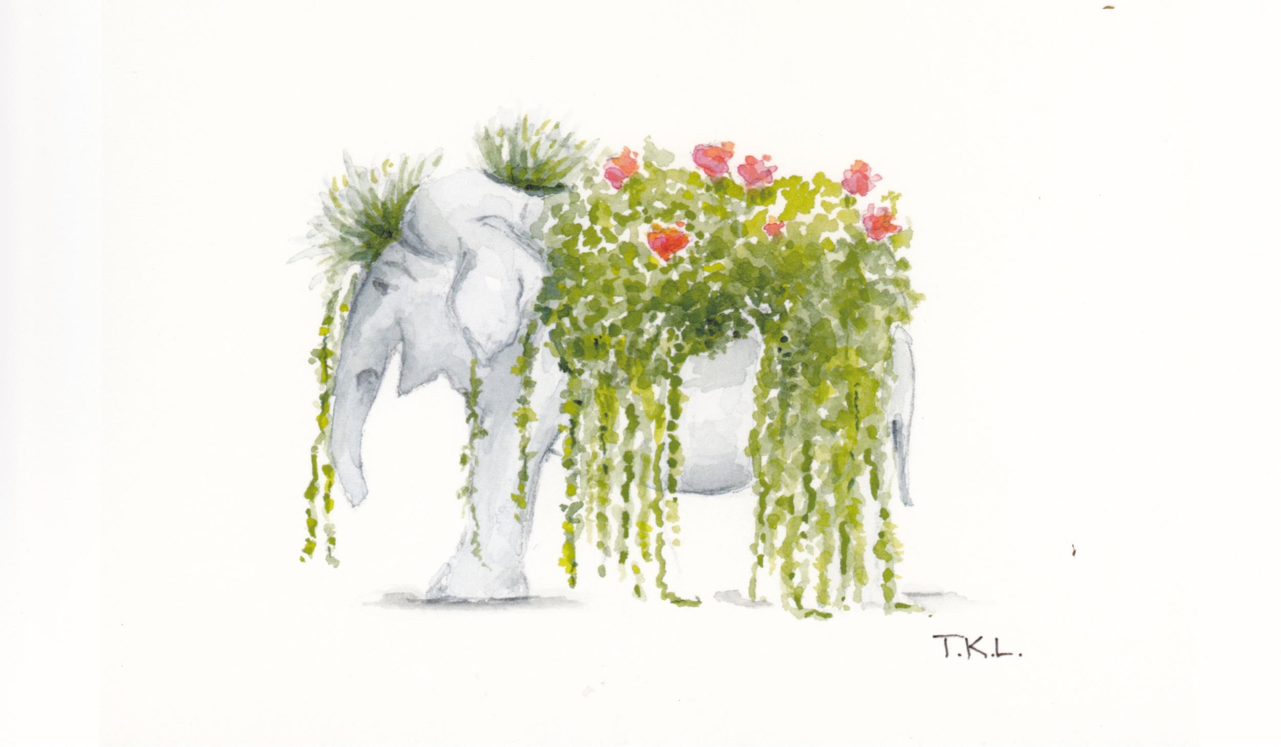 The Wedding Website of Carly Pace and Thomas McEvily