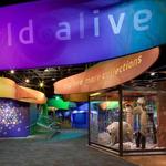 Discovery Place Science Museum