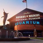 Wonders of Wildlife Aquarium & Original Bass Pro Store