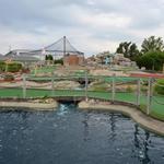 Boulder Falls Mini Golf And BatZone