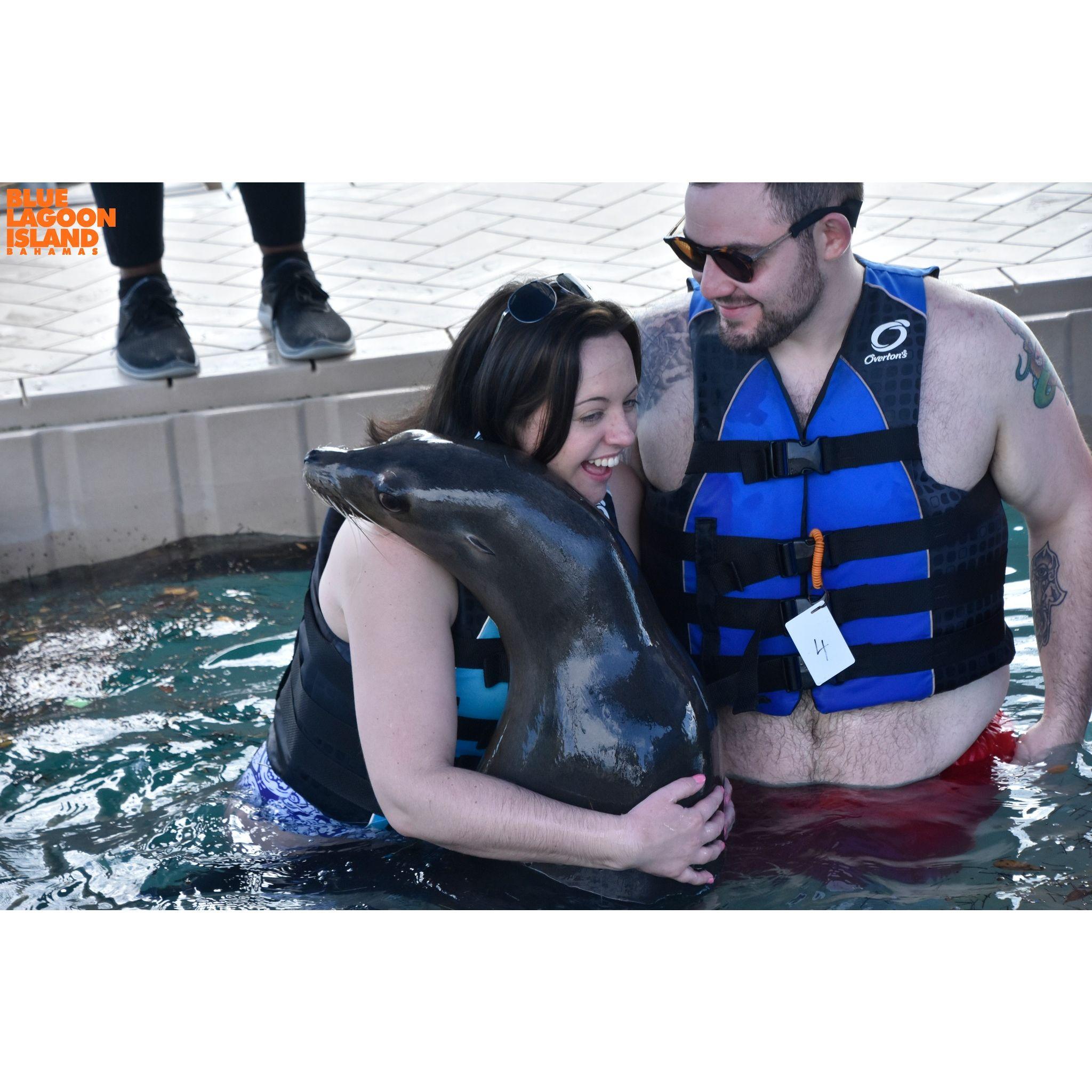 That time we got to hug a sea lion.