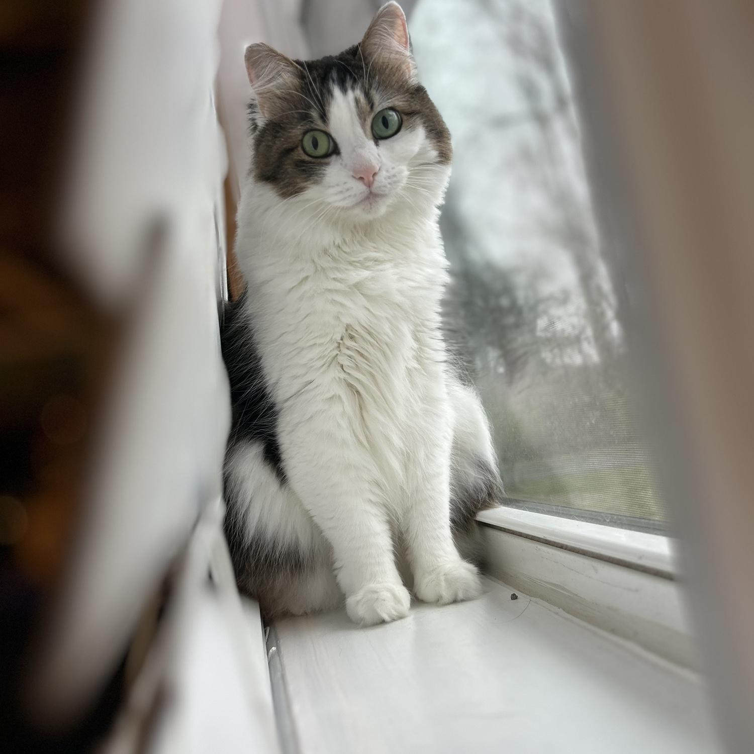 Our girl Sable