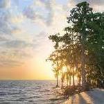 Fontainebleau State Park