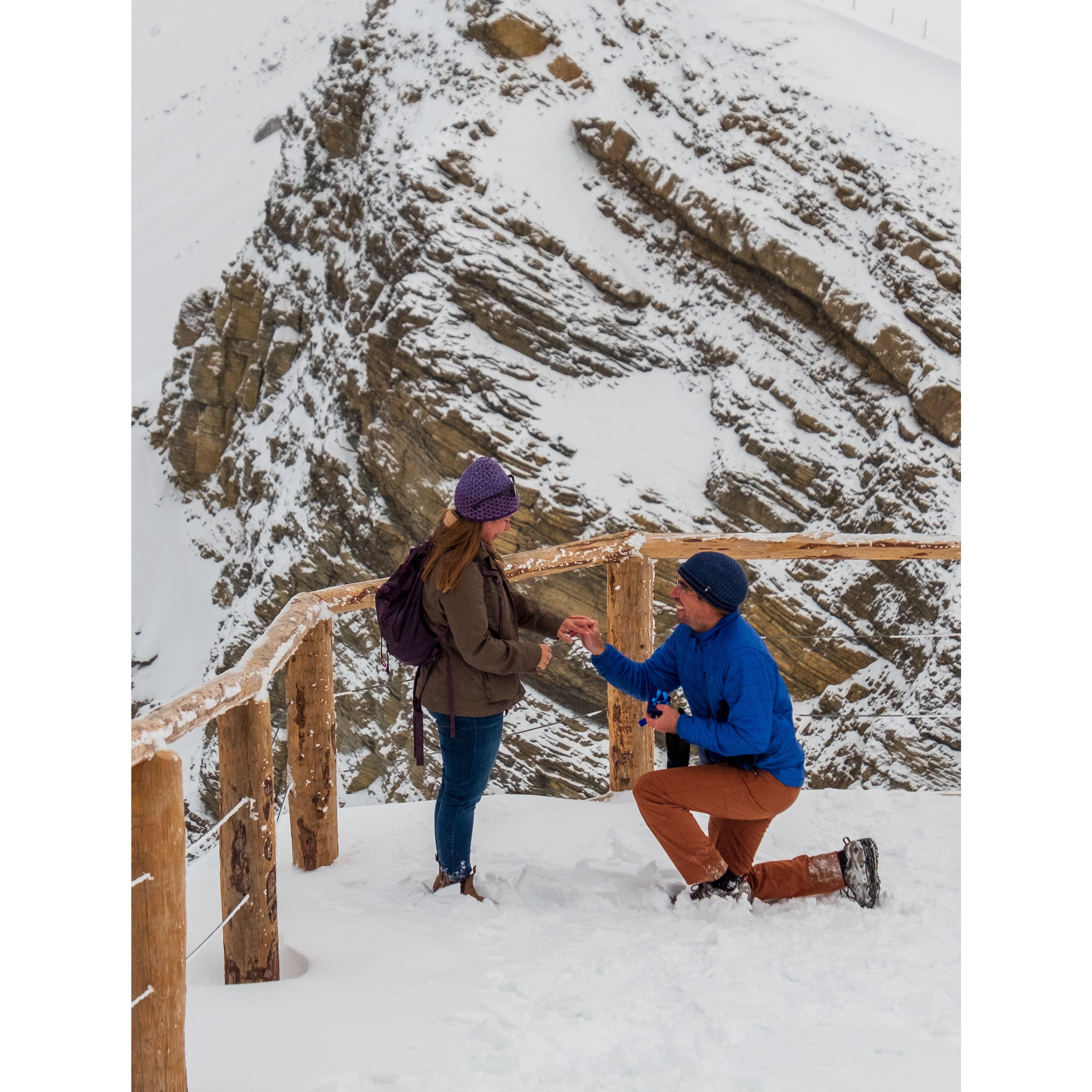 I said yes!