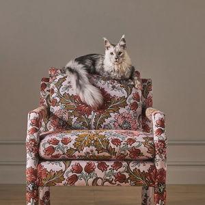 Jylin Woven Delaney Chair