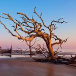 Driftwood Beach Trail