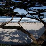 Carmel Beach