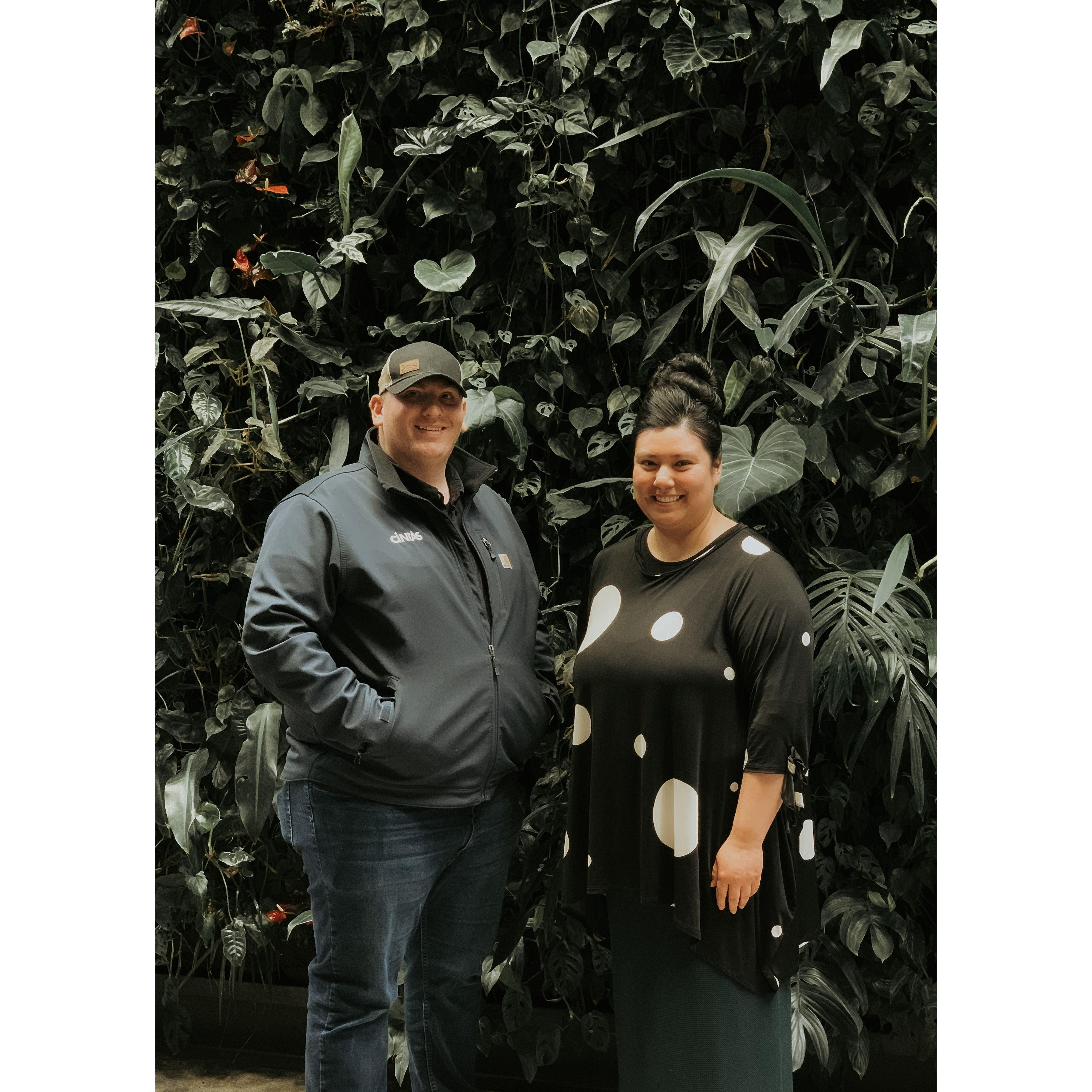 Amazon Spheres in Seattle