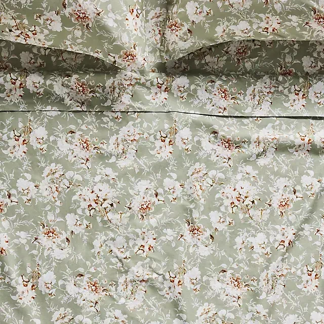 Organic Cotton Sateen Printed Sheet Set