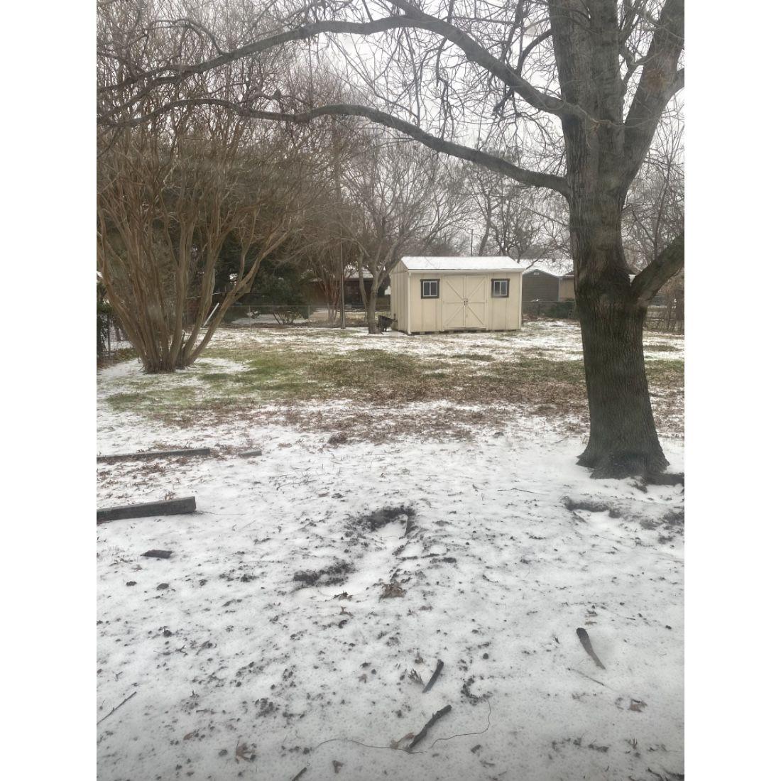 We got our first taste of a Texas winter!