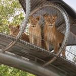 Philadelphia Zoo