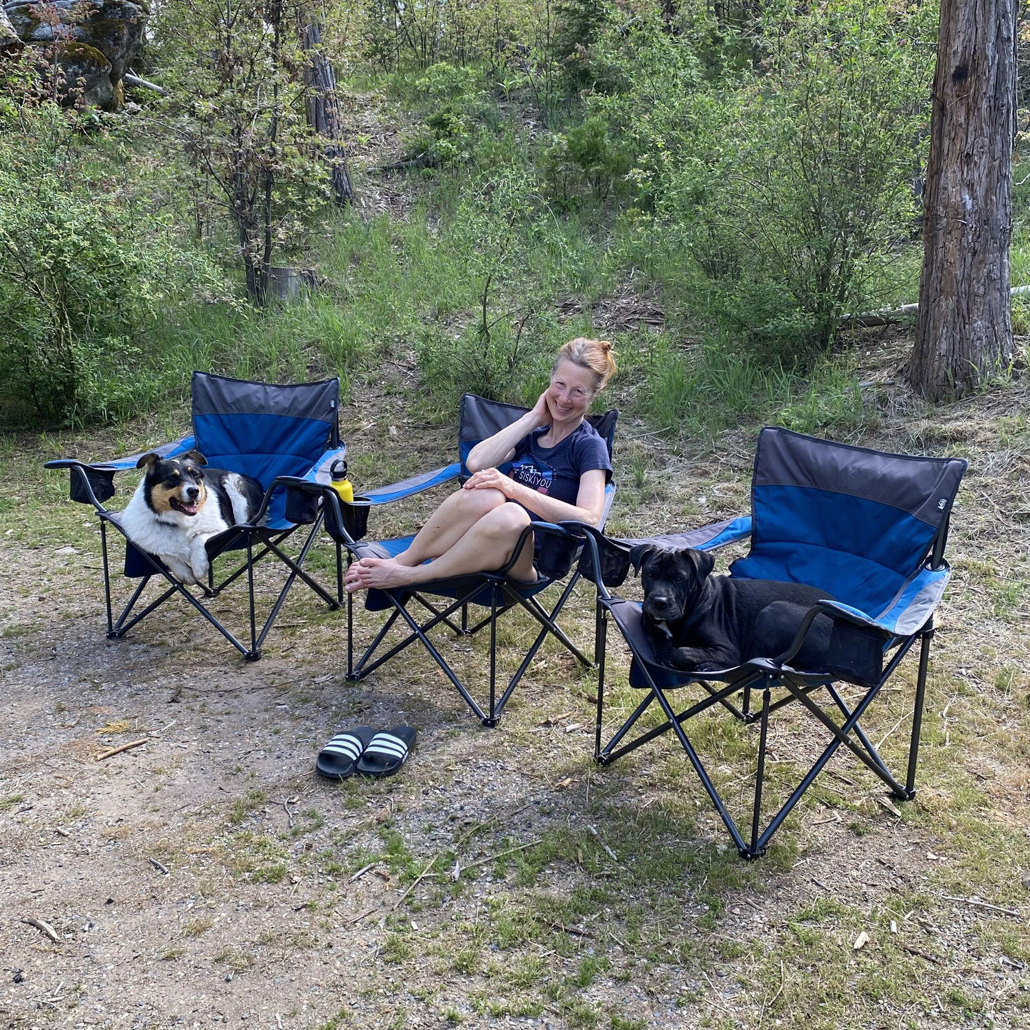 Camping Spring 2023