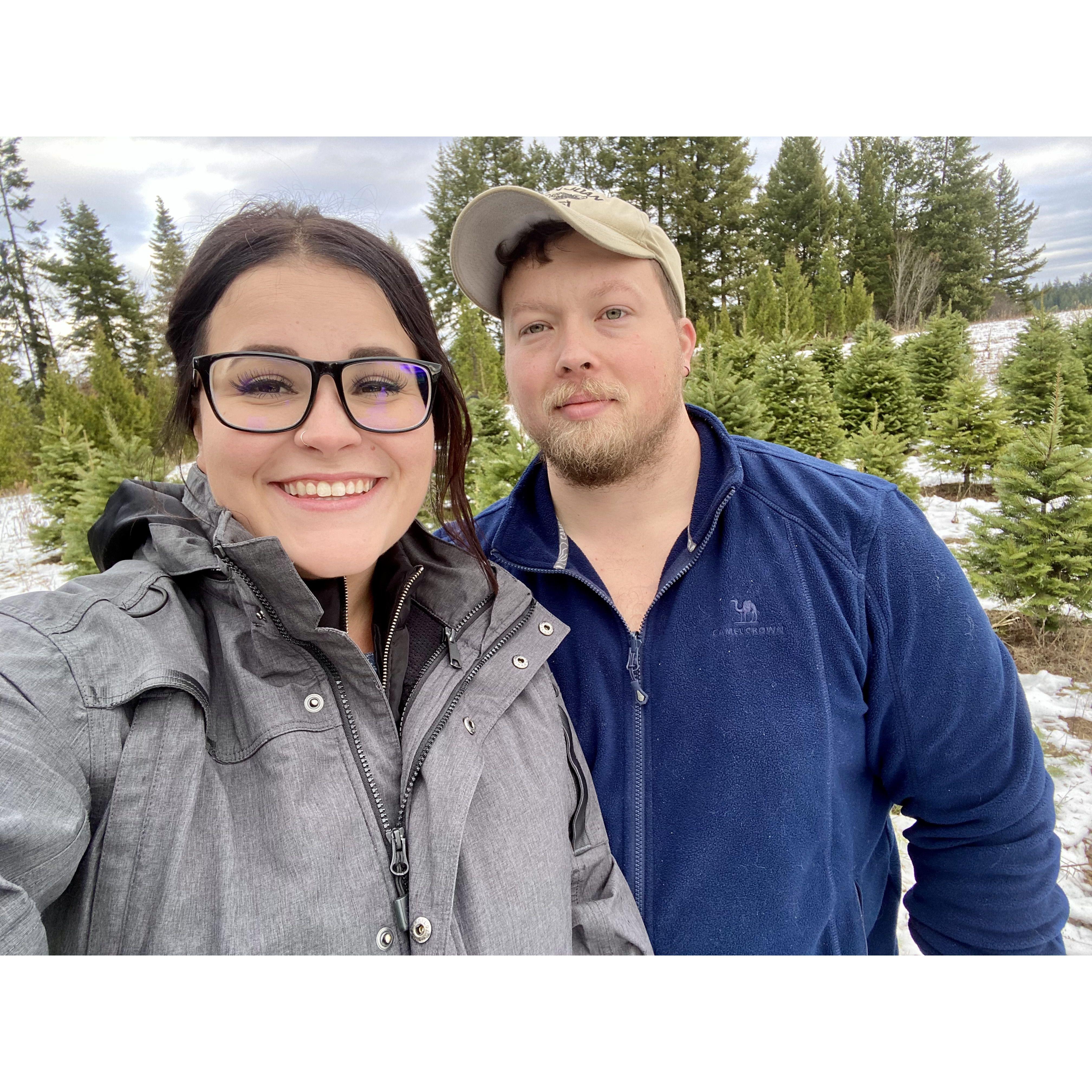 First Christmas tree hunt