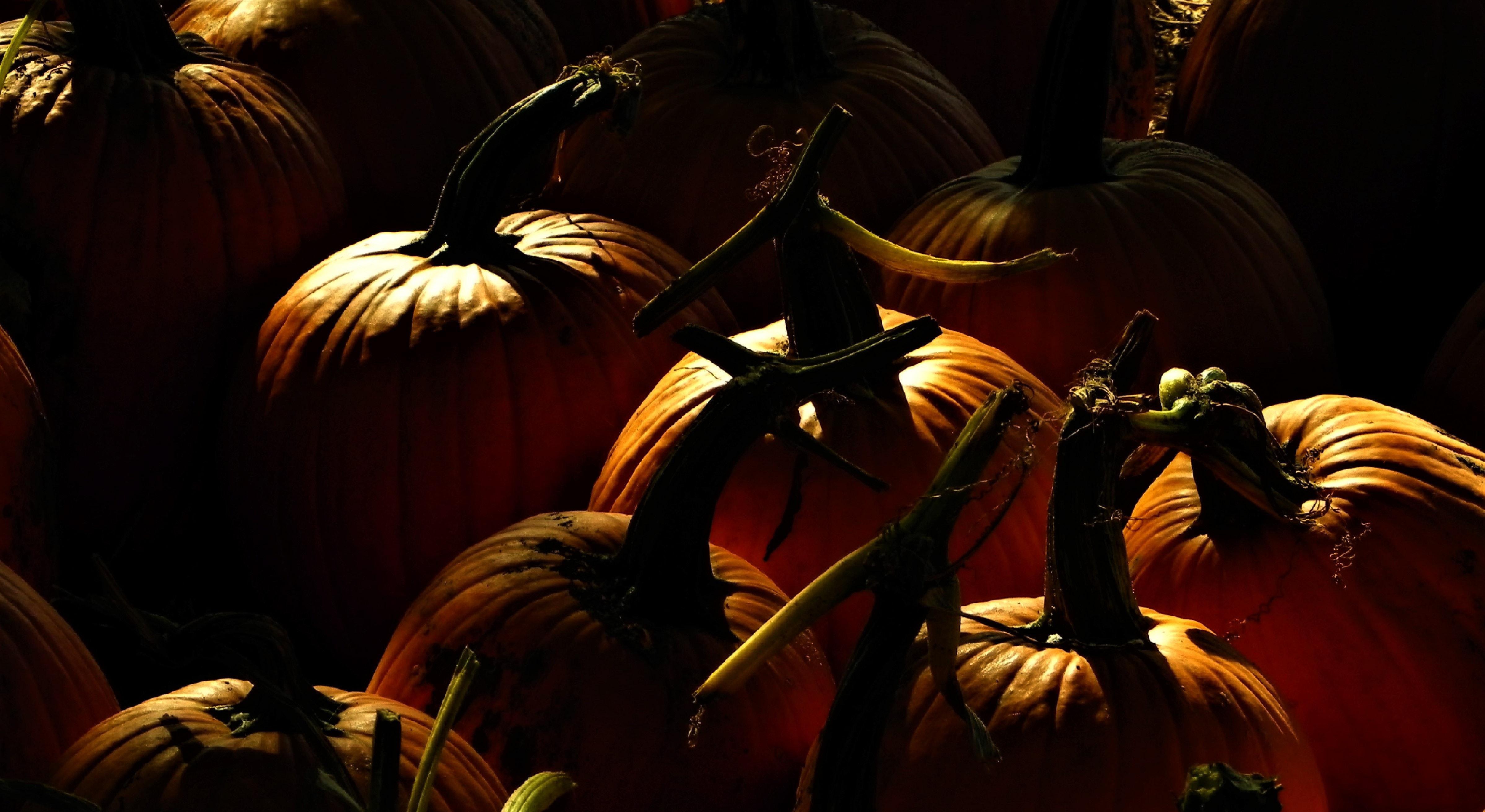 Footer image