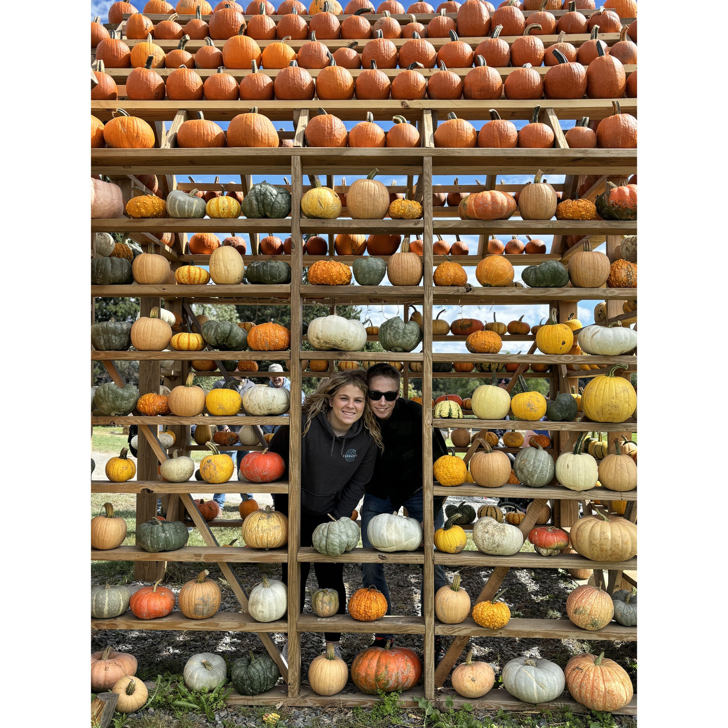 Pumpkin Patch