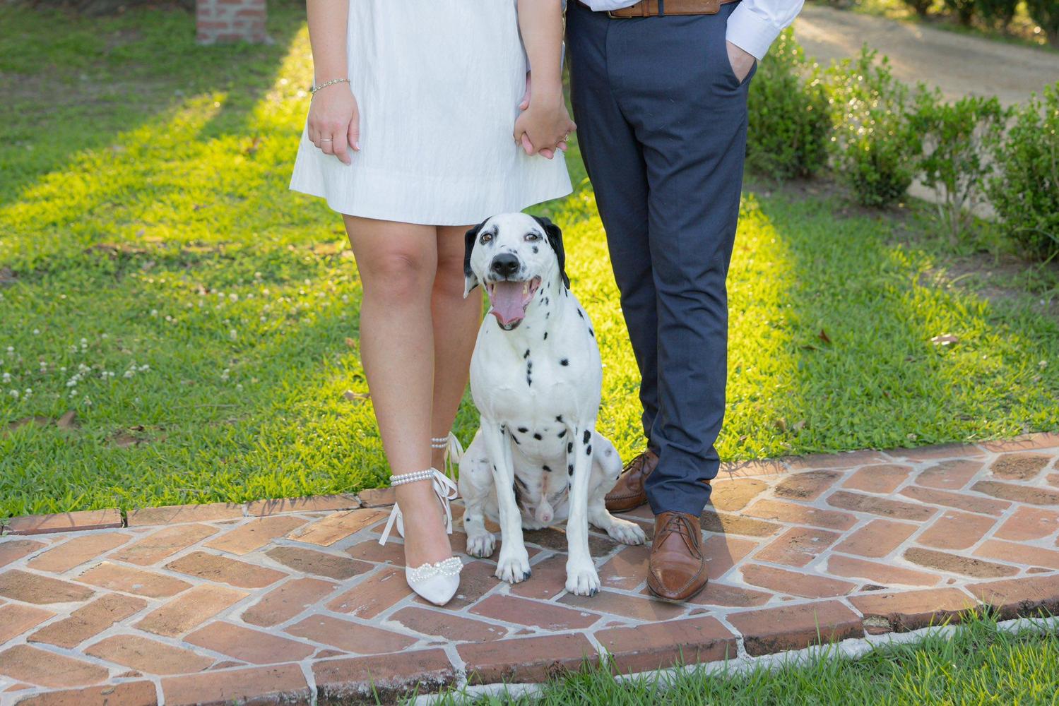 The Wedding Website of Allison Simon and Austin Robertson