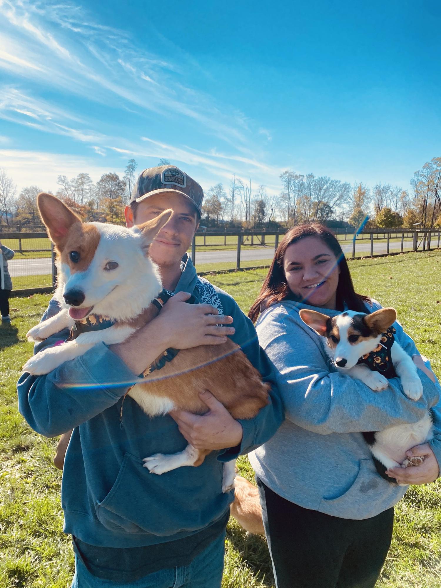 🐶💗Dog Parents🐶💜