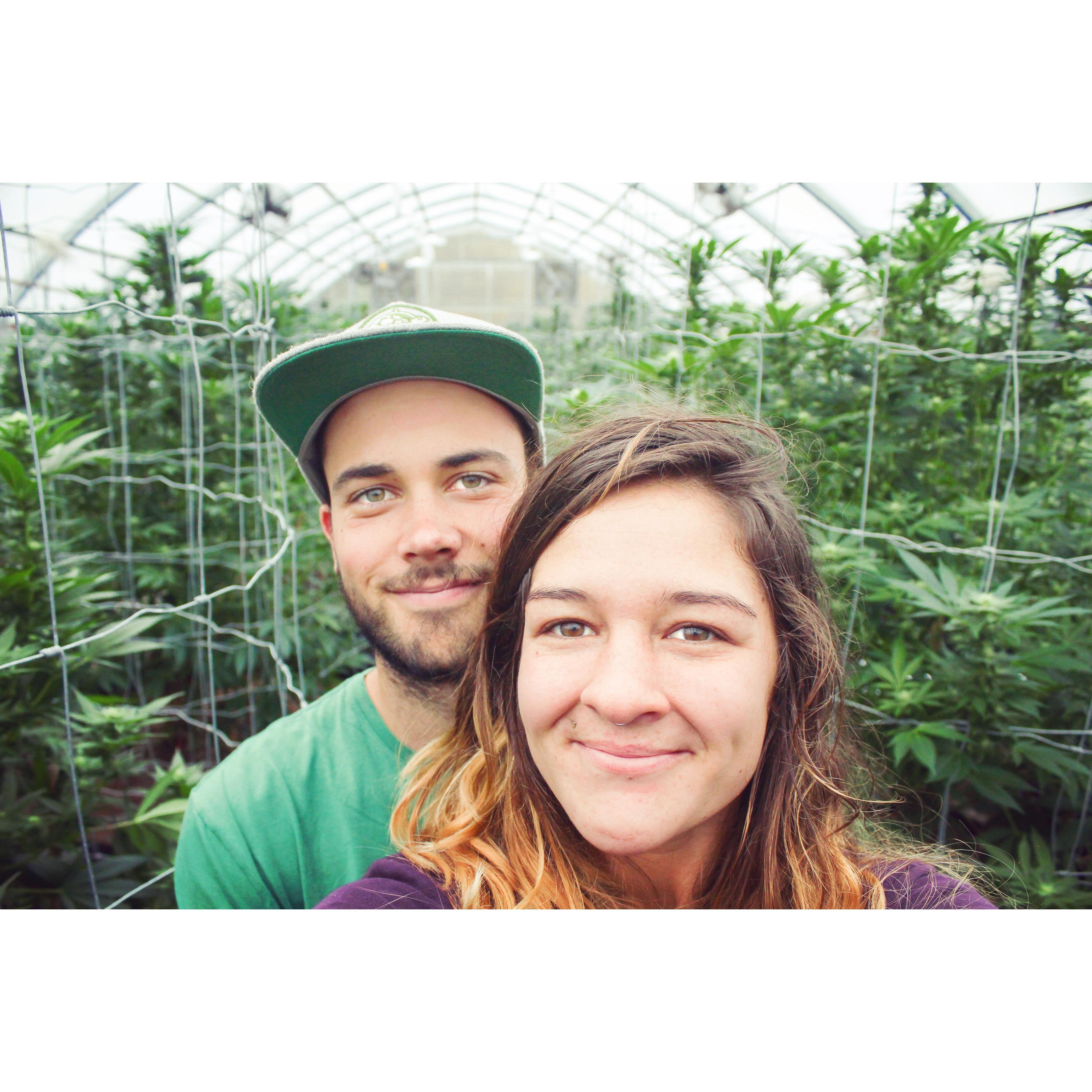 Finding someone that loves working with cannabis as much as you do, priceless.