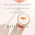 Boisson Brooklyn — Sans-Alcohol Bottle Shop & Apothecary
