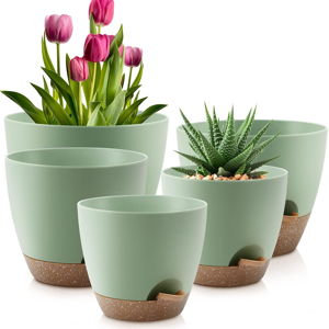 Self Watering Pots (Green)