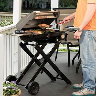 All-Foods Roll-Away Portable Outdoor LP Gas Grill