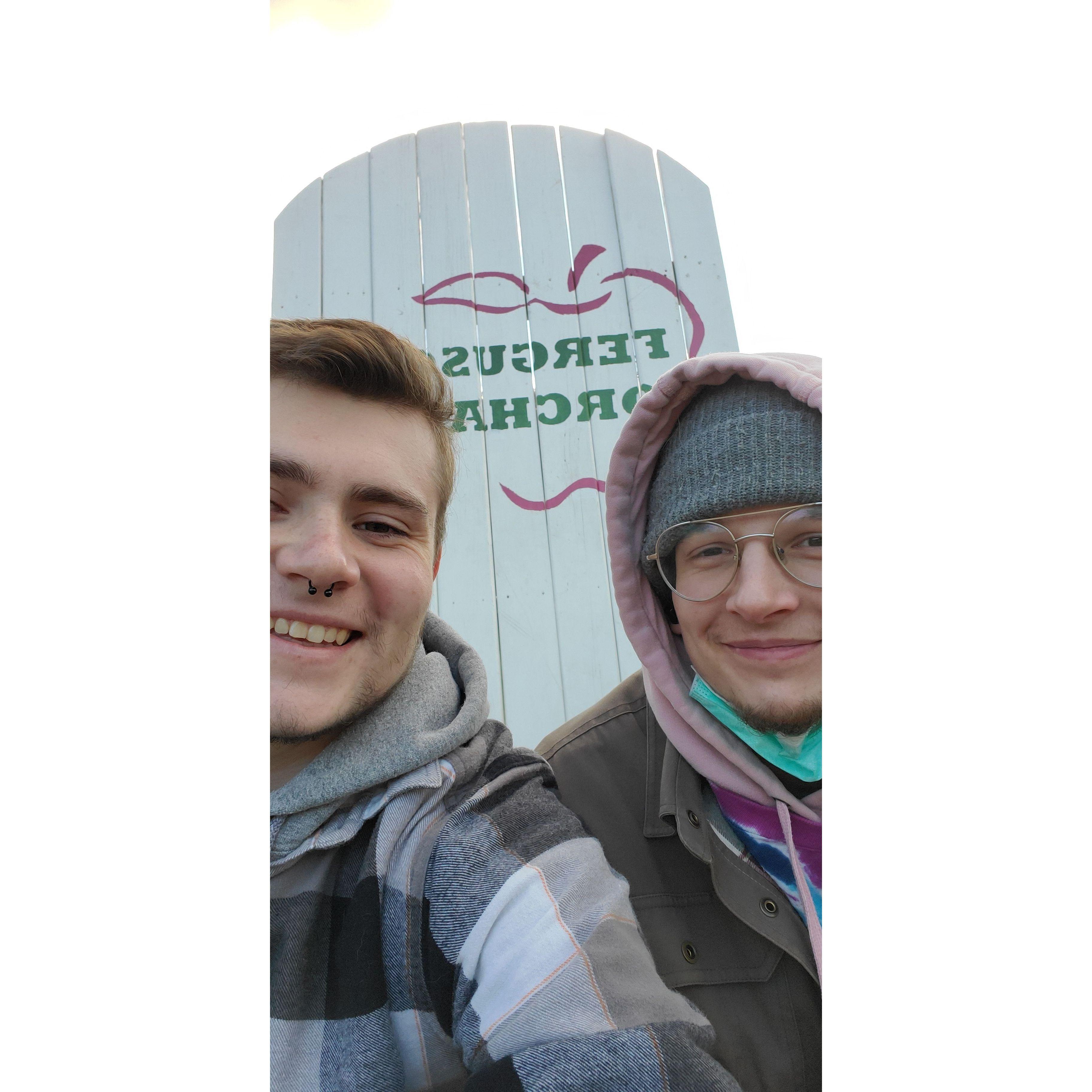 Apple orchard October 2021