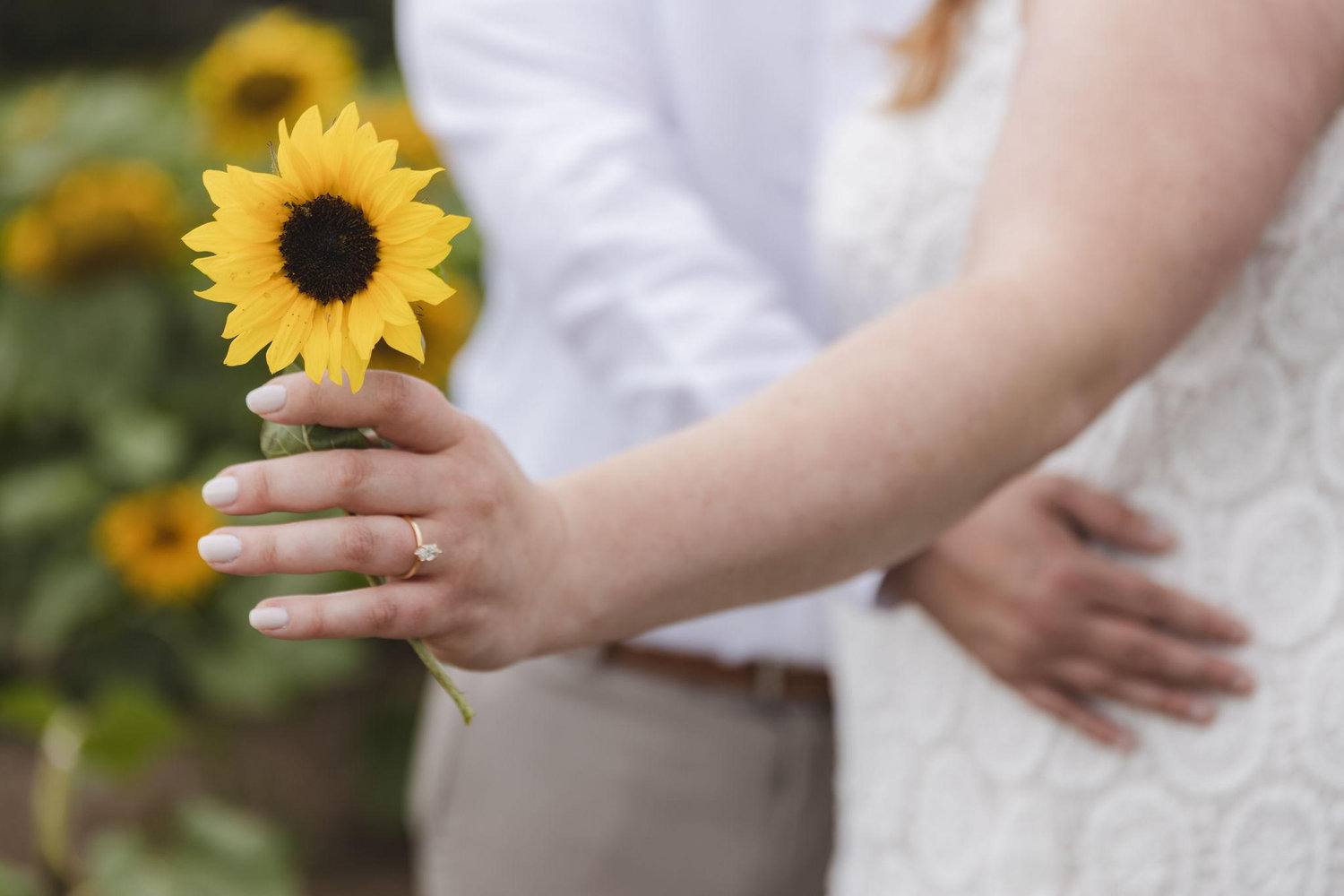 The Wedding Website of Jaclyn Haidasz and Domenic Innocente