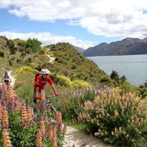 Mountain Biking in New Zealand