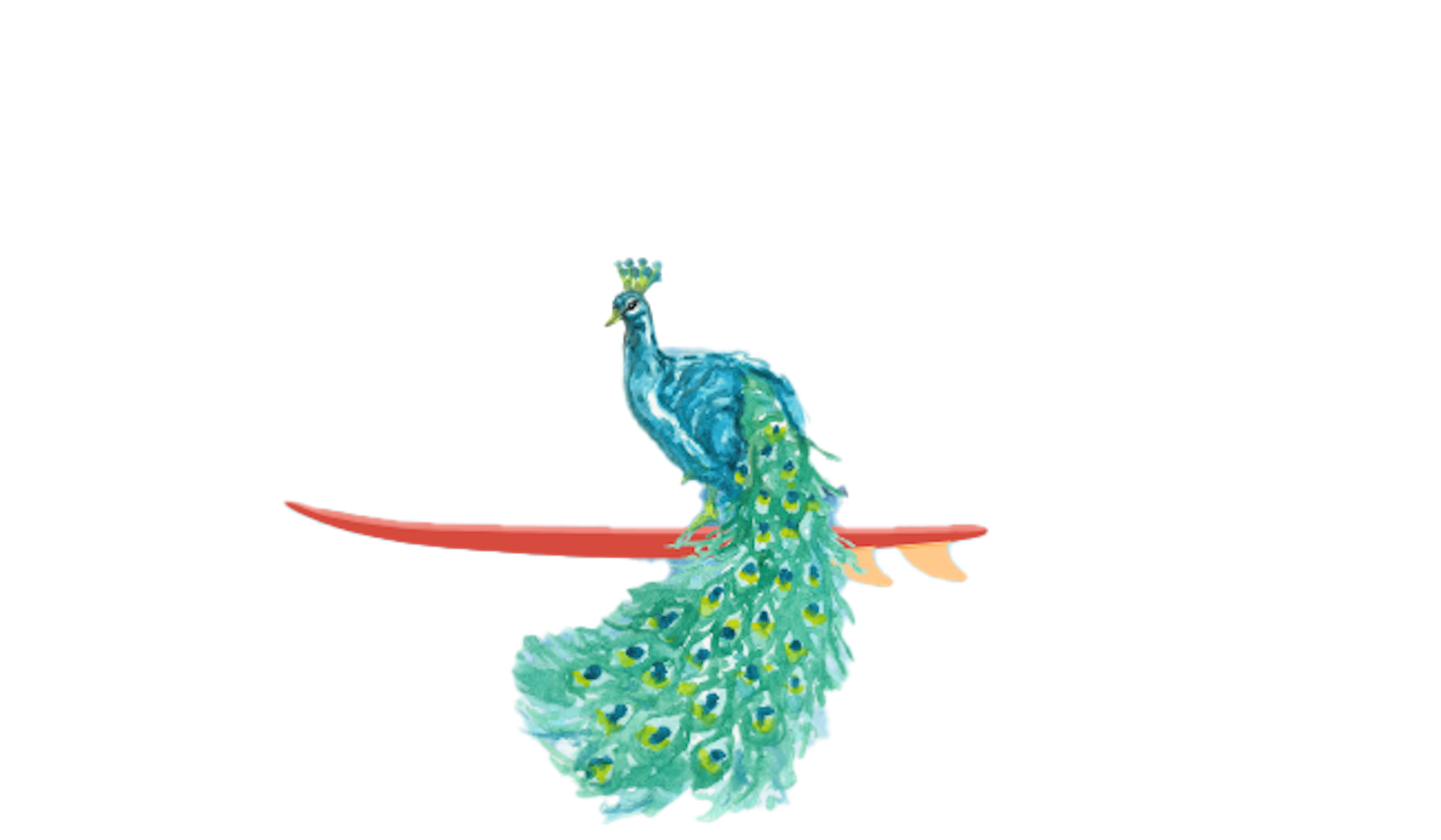 Footer image