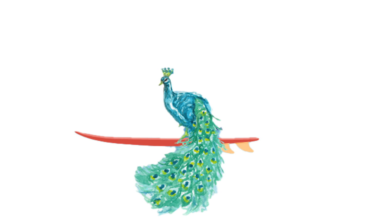 Footer image