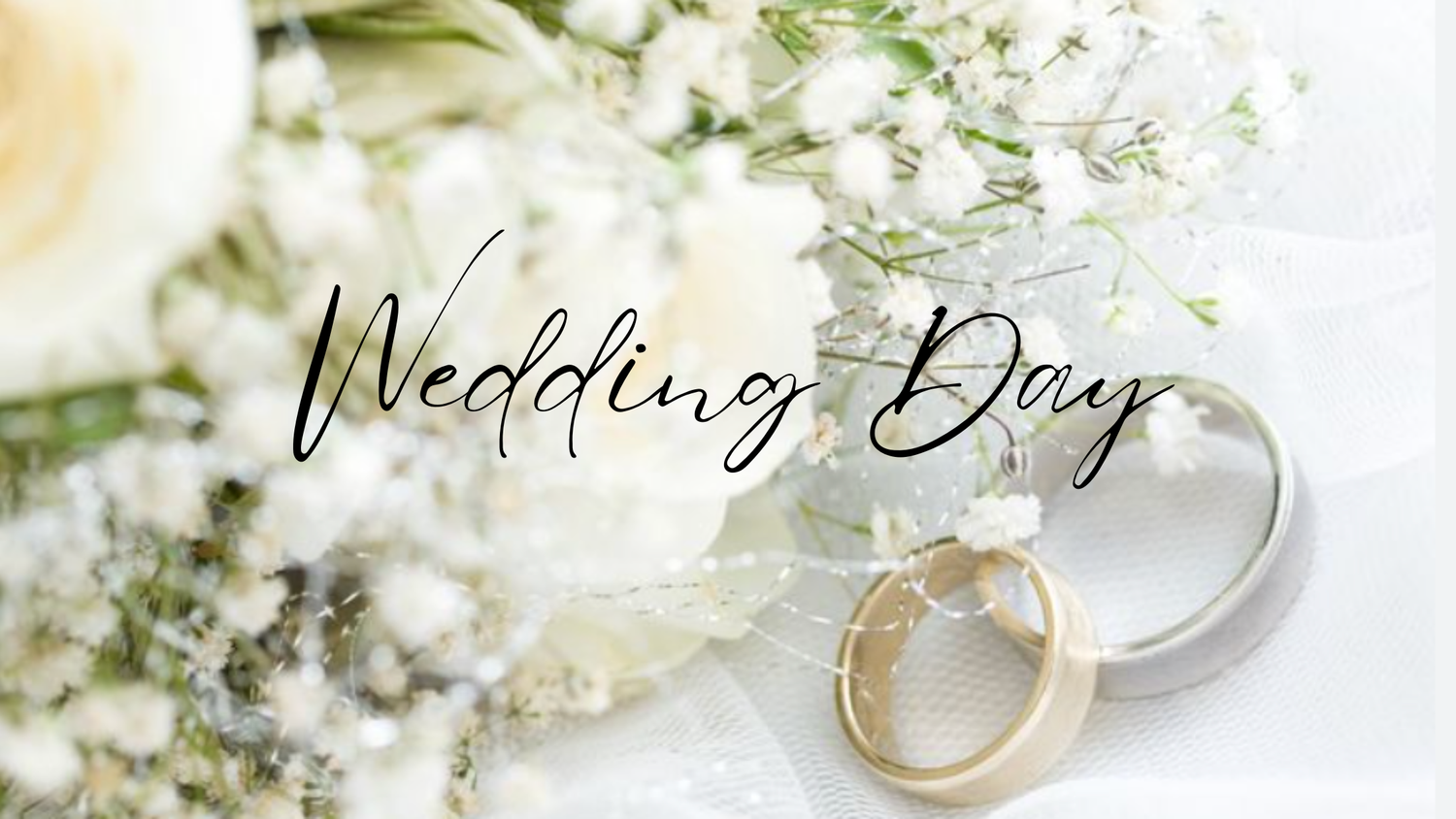 The Wedding Website of Sarah Jo and Peter Mikhail