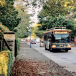 Trolly Tour