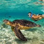 Try Snorkeling and Scuba Diving - San Juan