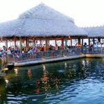 Islamorada Fish Company