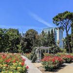 Visit the State Capital and World Peace Rose Gardens