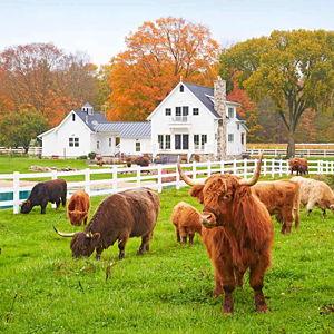General Fund- Help Build Our Home