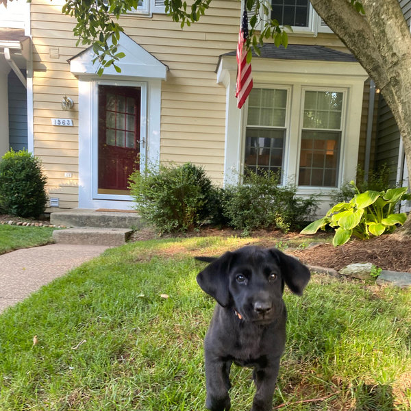 Current Home TLC – Making the Most of Now
