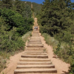 The Incline