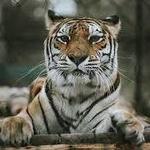 The Catty Shack Ranch Wildlife Sanctuary