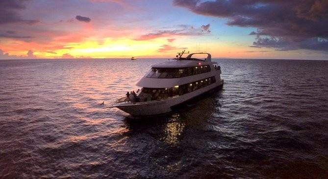 The Wedding Website of senai acosta and jacob irizarry