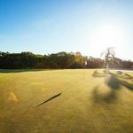 Mangrove Bay and Cypress Links Golf Courses