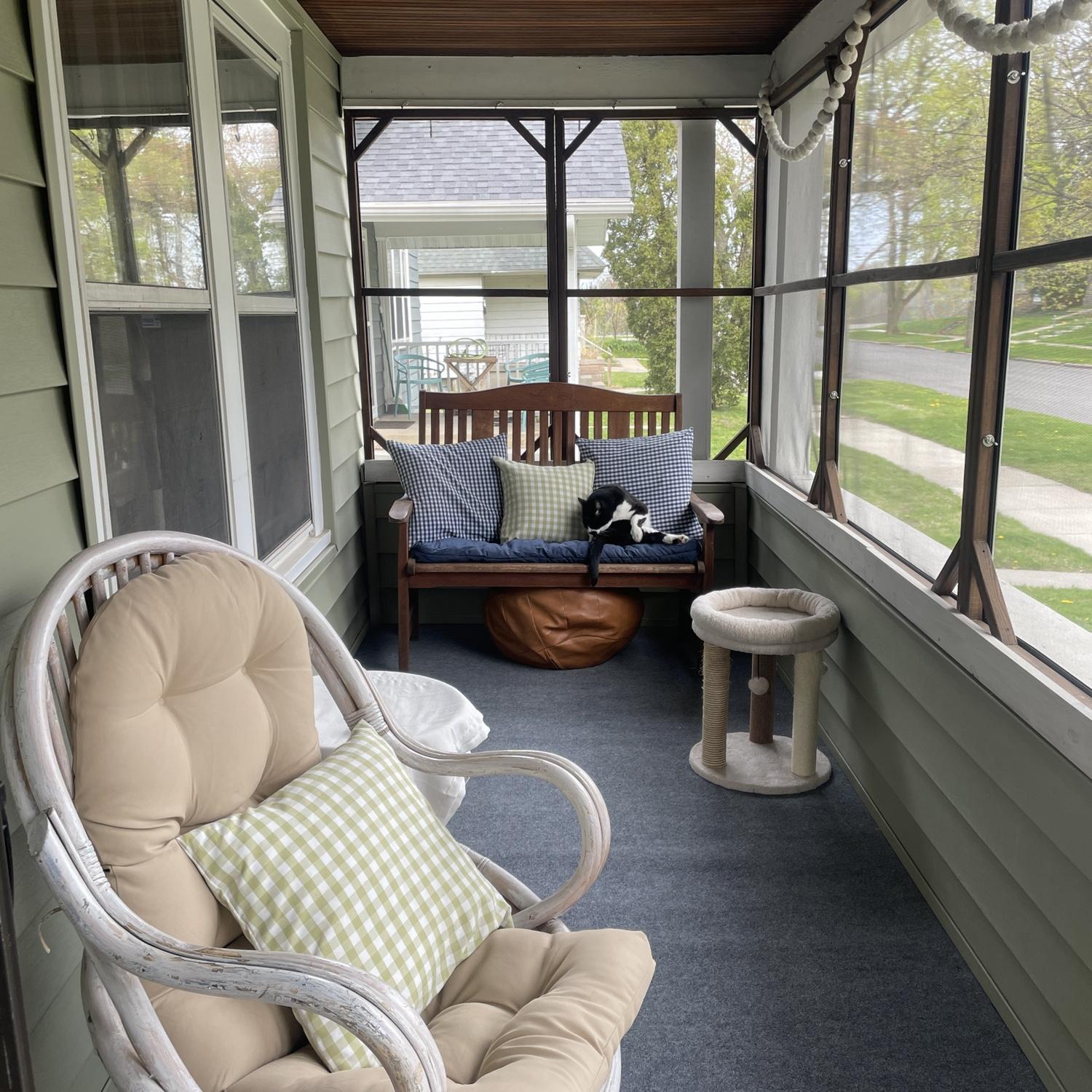 Musty enjoying the porch his daddy built for him.