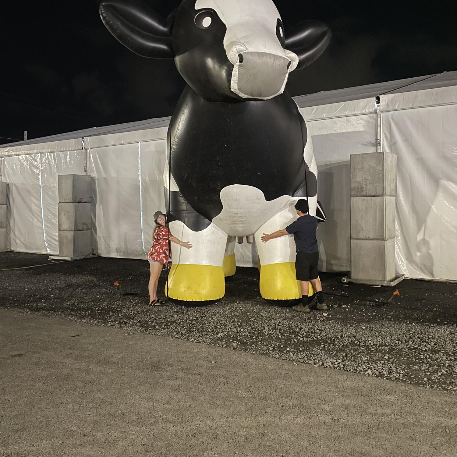 NYS Fair Giant inflatable cow