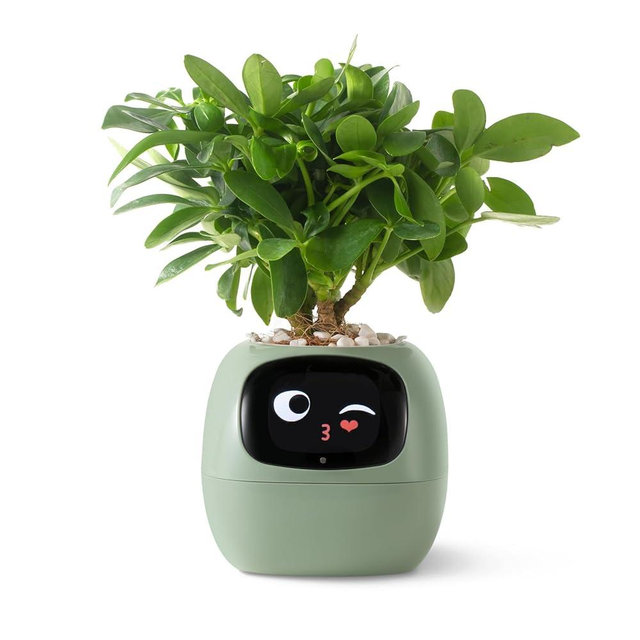 PLANTSIO Smart pet Planter Robot Guidance on Plant Care with Emojis, Adorable Plant Companion with Rich Gesture Interaction, Neat Desk Setup Gift (Green)