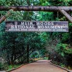 Muir Woods Visitor Center