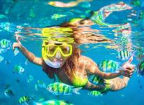 Experience Cebu Island Hopping and Snorkeling