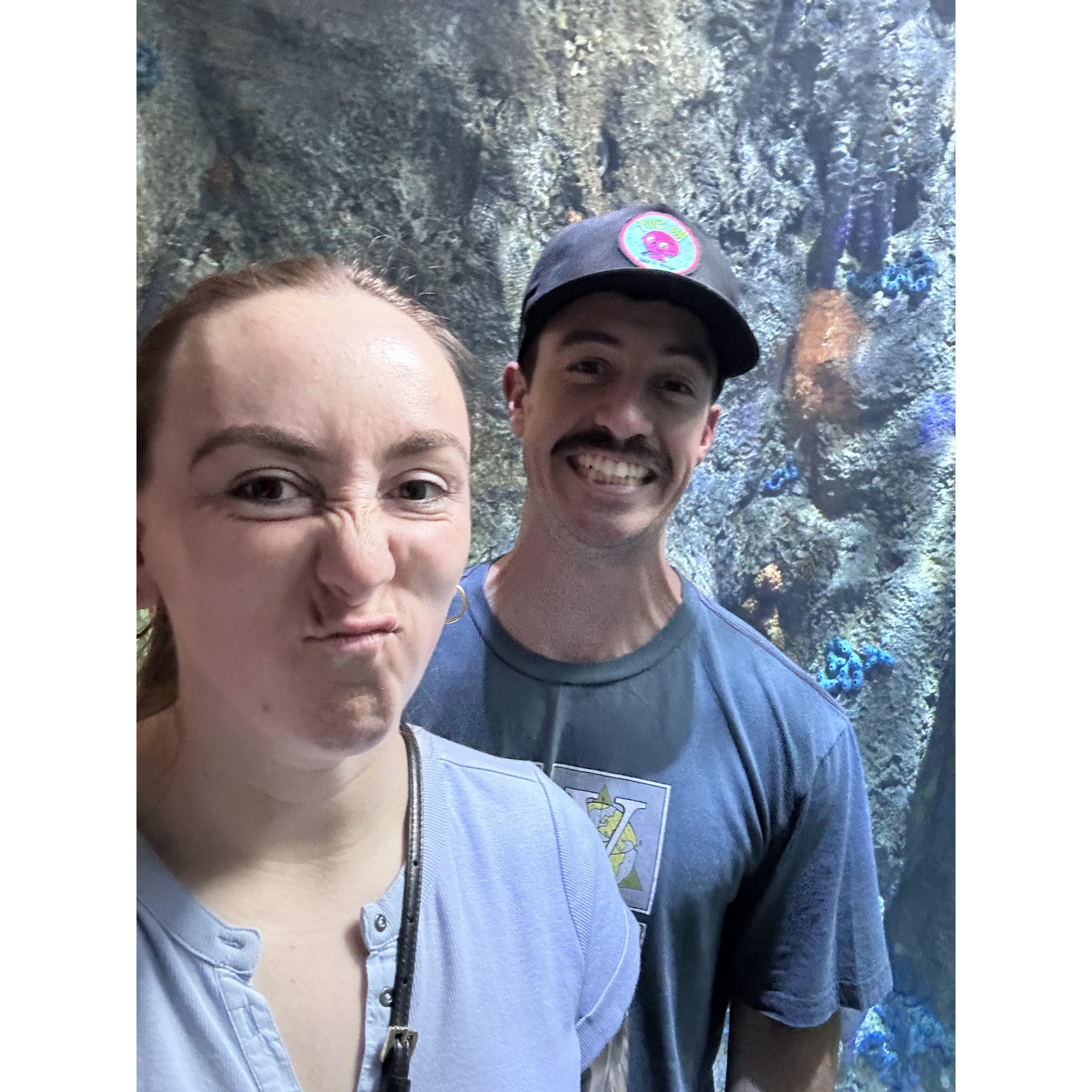 Aquariam of the Pacific